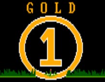 1ST PLACE trophy